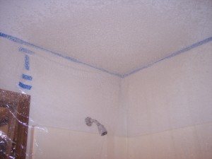 Picture of bathroom ceiling repaired by Waddill Services, LLC in Des Moines, Iowa 5