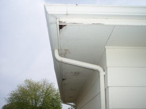 Picture of soffit repair by Waddill Services, LLC in Des Moines, Iowa 2