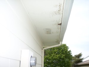 Picture of soffit repair by Waddill Services, LLC in Des Moines, Iowa 3