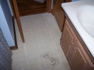 Picture of bath improvements by Waddill Services, LLC in Des Moines, Iowa 2