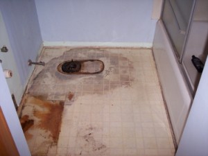 Picture of bath improvements by Waddill Services, LLC in Des Moines, Iowa 3