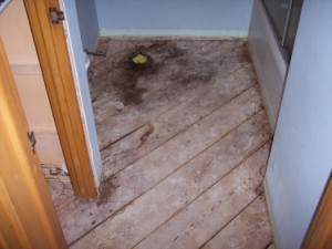 Picture of bath improvements by Waddill Services, LLC in Des Moines, Iowa 6